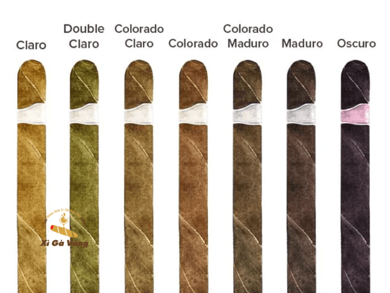 Những màu sắc cơ bản của xì gà